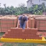 1000006886.jpg
