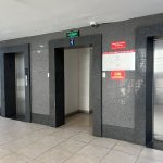 IMG_7947.jpeg