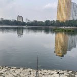 IMG_0020.jpeg