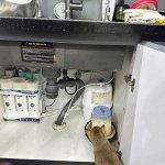 IMG_7643.jpeg