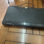 IMG_0244.jpeg