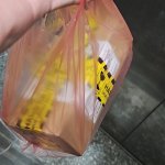 27444.jpg
