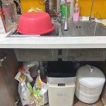 IMG_7645.jpeg