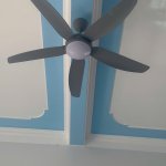IMG_8909.jpeg