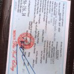 IMG_5747.jpeg