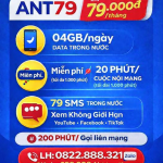 ant79.png