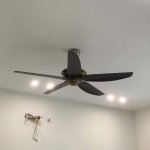 IMG_7723.jpeg