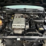 IMG_1770.jpeg