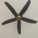 IMG_8090.jpeg