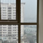 IMG_3929.jpeg