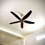 IMG_1543.jpeg