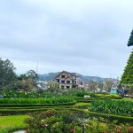 TVH's pic - TP Da Lat - 110226 (1).JPG