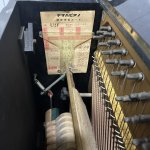 IMG_6236.jpeg