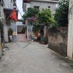 IMG_3546.jpeg