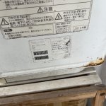 IMG_1924.jpeg