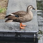 20260424_154603.jpg
