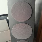 IMG_7947.JPEG