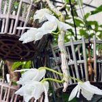 IMG_5722.jpeg