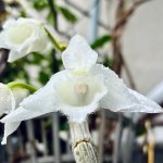 IMG_5723.jpeg