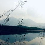 IMG_7252.jpeg