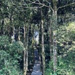 IMG_9767.jpeg