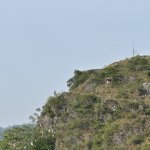 IMG_3957.jpeg