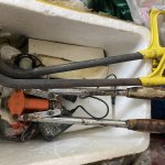 IMG_6540.jpeg
