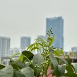 IMG_5754.jpeg