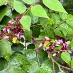 IMG_5757.jpeg