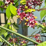 IMG_5780.jpeg