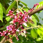 IMG_5787.jpeg