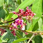 IMG_5790.jpeg