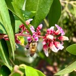 IMG_5792.jpeg