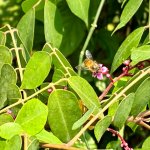 IMG_5784.jpeg