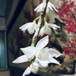 IMG_5799.jpeg