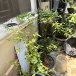 IMG_8077.jpeg