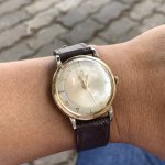 IMG_4183.jpeg