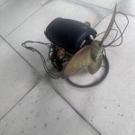 IMG_5004.jpeg