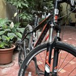 IMG_7410.jpeg