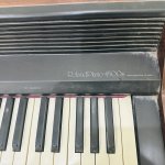 IMG_7383.jpeg