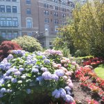 DSCF5483.JPG