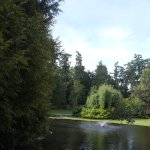 DSCF5504.JPG