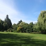 DSCF5510.JPG