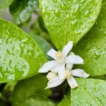 IMG_5895.jpeg
