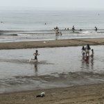 IMG_5165.jpeg
