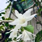 IMG_5936.jpeg
