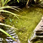 IMG_5965.jpeg