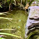 IMG_5968.jpeg