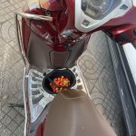 IMG_2607.jpeg