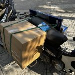 IMG_6767.jpeg